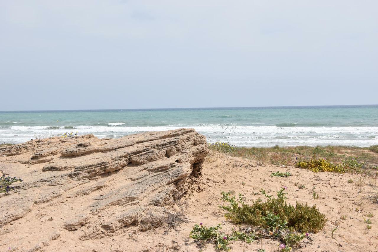 Apartment Vinamar III - Sunny La Mata La Mata  Ngoại thất bức ảnh