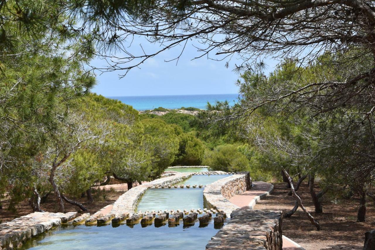 Apartment Vinamar III - Sunny La Mata La Mata  Ngoại thất bức ảnh